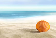 全明星球员齐聚一堂展开激烈角逐！