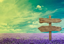 俄罗斯男篮拟重新加入欧洲杯联赛